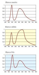 LED Ambre-Ajuntament Impulsa