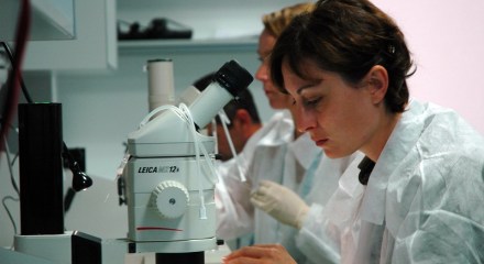 ecosistemes innovadors