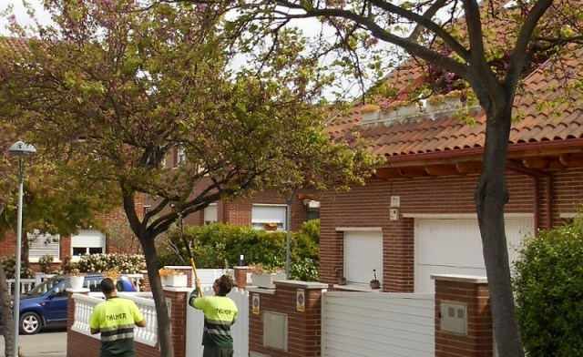 Tractaments biològics de plagues