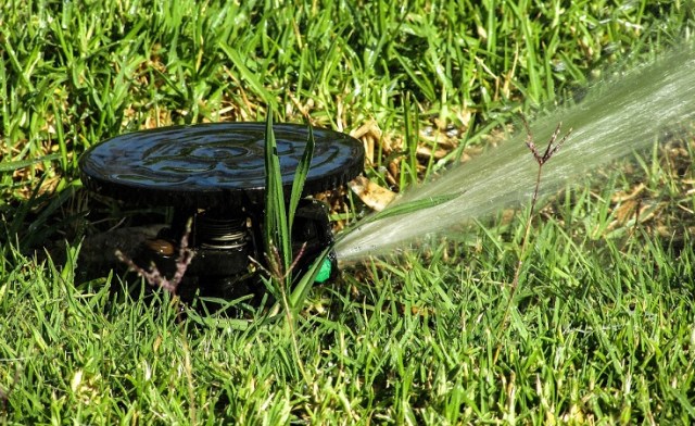 Talher legionel·losis