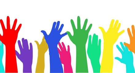 consultes ciutadanes Muneval