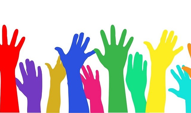 consultes ciutadanes Muneval