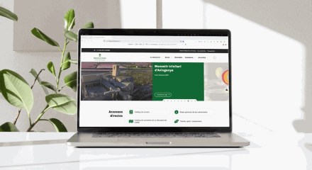 web diputació Lleida feta per ecyticlic